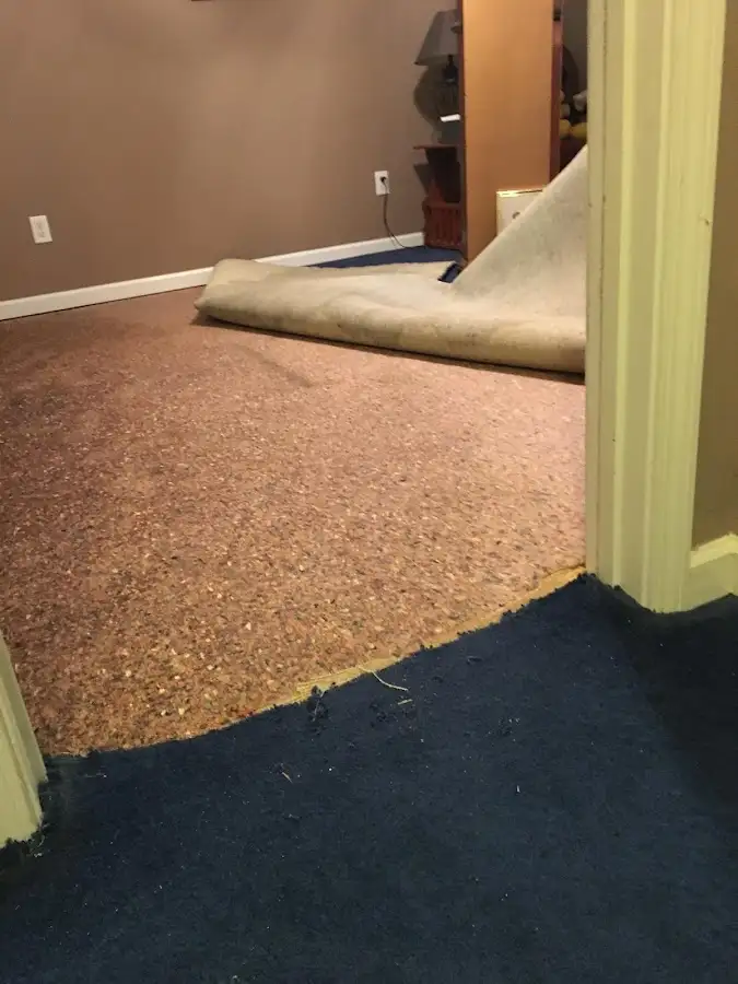Carpet pad removal revealing water damage during Water Mitigation Services in Alexandria